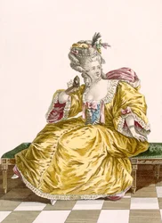 Lady